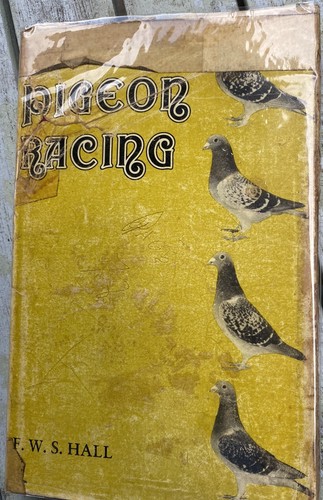 Hall pigeon racing - pigeon,