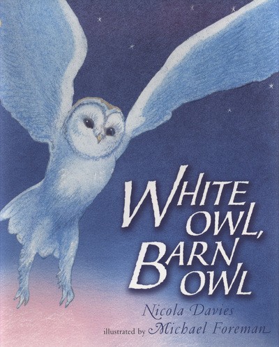 White owl barn - owl,,