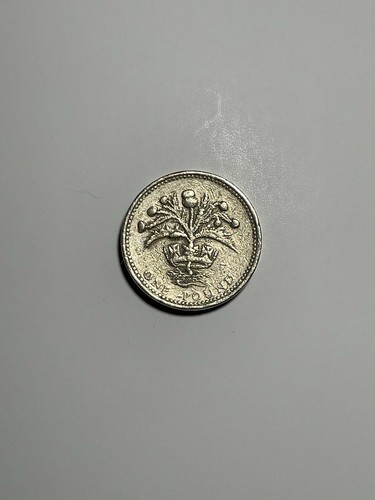 1989 one pound coin nemo - nemo, me