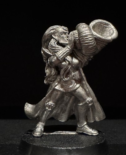 Citadel warhammer maiden - maiden, guard