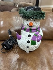 Vintage Fiber Optic Light up