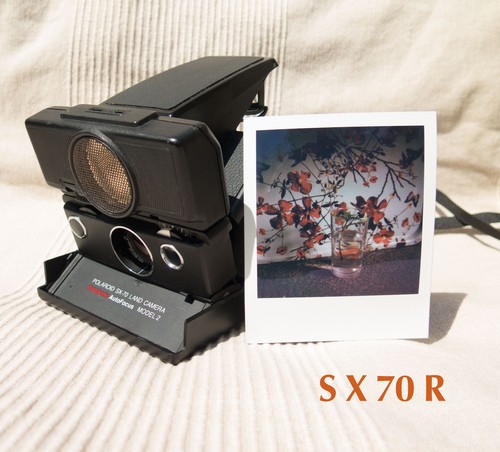 Polaroid sonar polasonic - sonar,