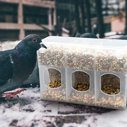 Quail feeder cage - quail,