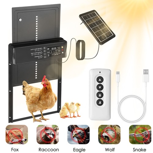 Automatic chicken coop door - automatic,
