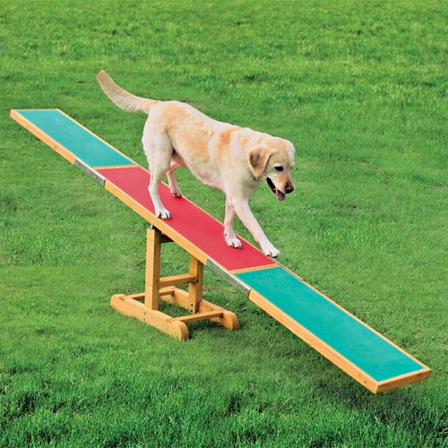 Dog agility seesaw training - ,