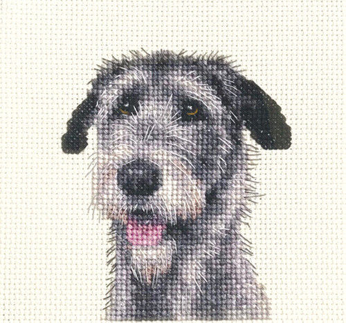 Irish wolfhound dog puppy - dog,,