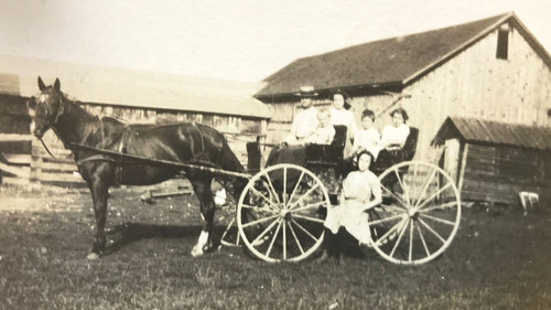 Antique vtg rppc horse - antique, drawn