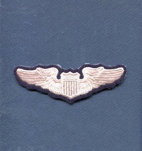 Usaf air force pilot - force, wing