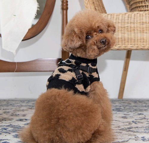 Puppia serval type harness - serval,