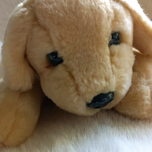 Andrex puppy plush - soft, toy