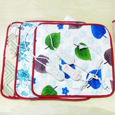 220V Electric Heating Pad Pet