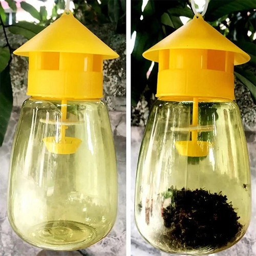 Reusable fruit fly trap killer - fly,