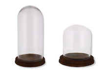 Set Of 2 Glass Display Bell Jar Oval Cloche on Dark Wood Base Display Stand