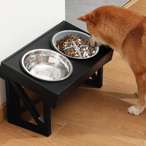 Raised slow feeder - slow, dog