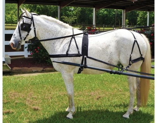Horse driving harness black - harness,
