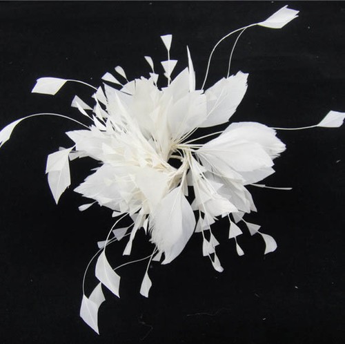 Twisted goose coque - coque, feather