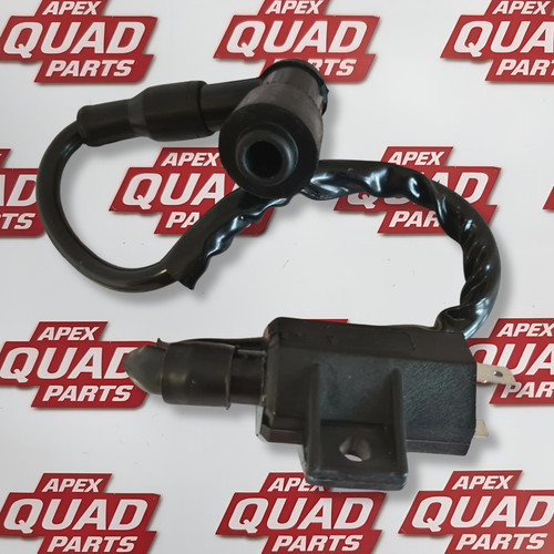 Suzuki quadsport 2000 - 2000,