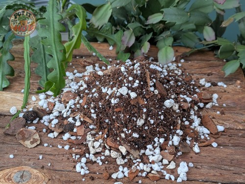Jungle cactus potting soil - cactus,
