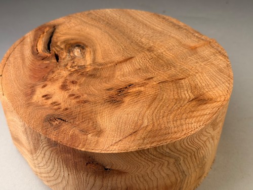 Burr elm wood turning - wood,
