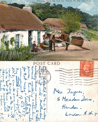 Vintage postcard bringing - postcard,