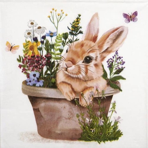 Single paper napkins - 4x, for