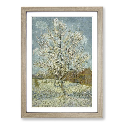 The pink peach tree - the,