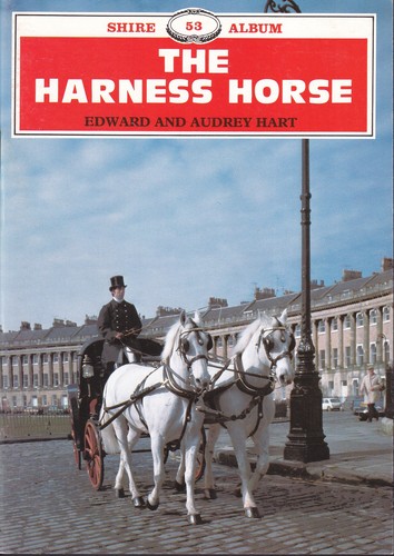 The harness horse - harness, horse.