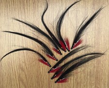 3 x Cut-Throat Collie. Salmon