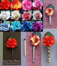 1 SINGLE LARGE ROSE: Tussie