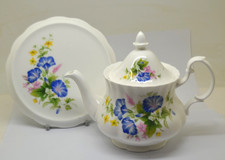 Vintage Teapot Royal Kent Bone