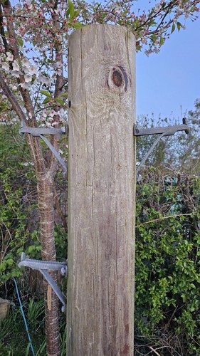 Step pole 1 telegraph - x, bt