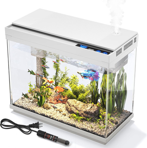 Gallon betta fish - gallon, tank