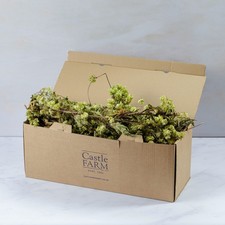 Dried Hop Pieces | Direct From Farm | Delivery Included | Wedding | Floral