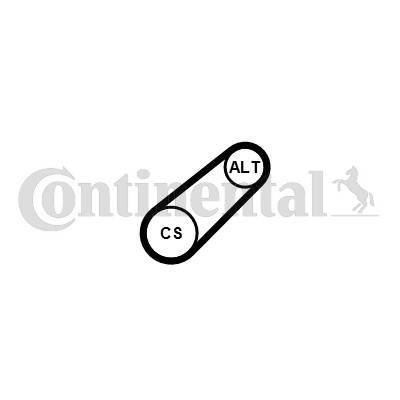 Continental ctam 6pk701 elast - continental,