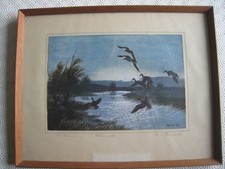 Vintage Peter Scott 1957