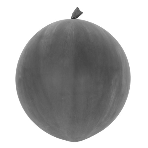 Professional weather balloon - professional,
