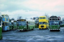 PHOTO London Country Leyland