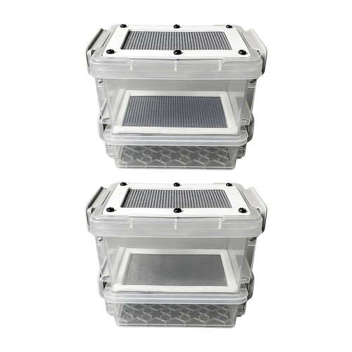 Mealworm breeding container - breeding,