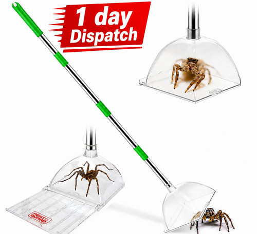 Spider catcher long handle - catcher,