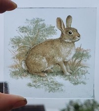 Stained Glass  Rabbit piece Kiln fired 8 cm x 8 cm rabbits nature art glass