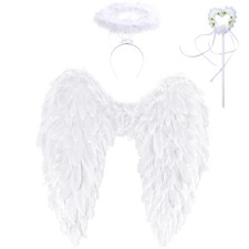 Takmor Angel Wings and Halo