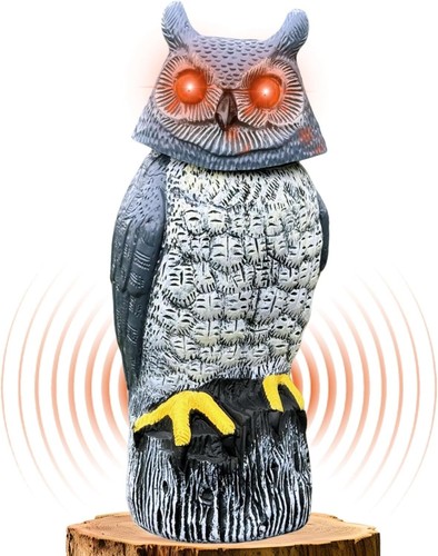 Solar powered garden - garden, owl