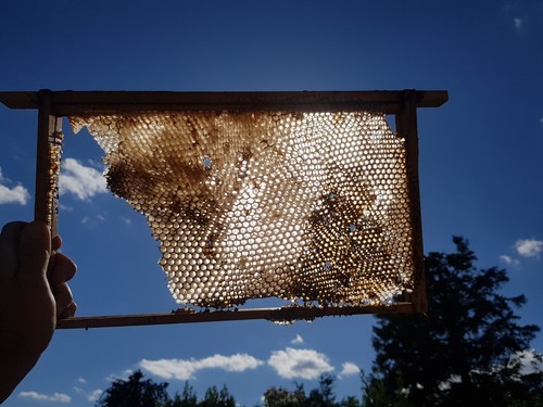 Frames nucleus bait hive - +,