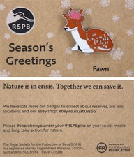 RSPB Pin Badge NIIC Special