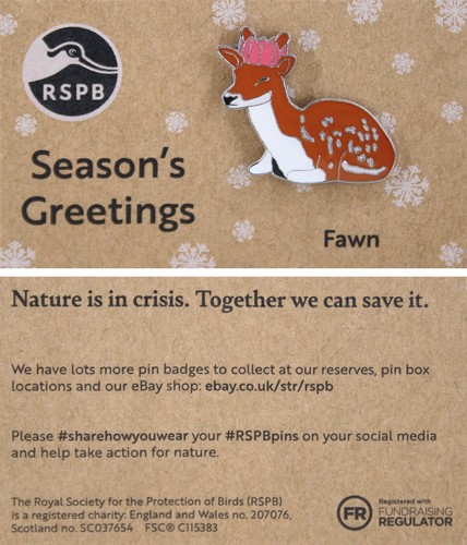 Rspb pin badge niic - rspb,