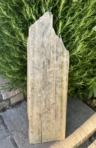52cm long flat driftwood - 52cm,