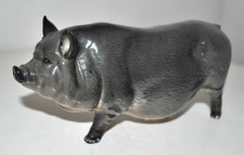 Royal Doulton Pig Figurine- Grey Vietnamese Pot-bellied Pig- Vintage Glossy GC