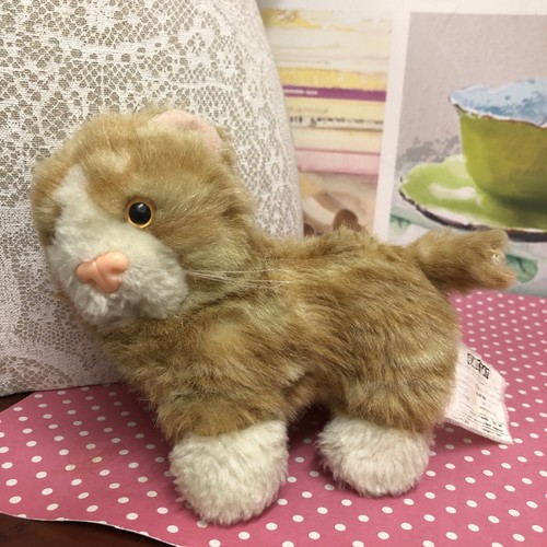 Rare battat scruffy - battat, cat