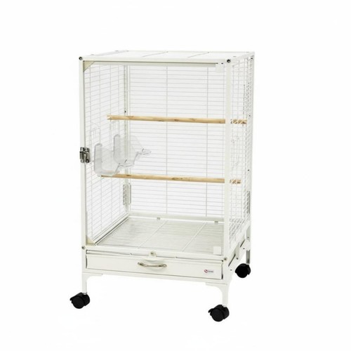 Clear panel bird - bird, enclosure