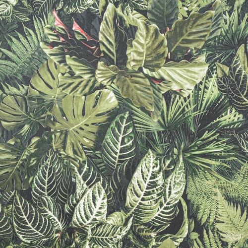 Green tropical leaf wallpaper - green,